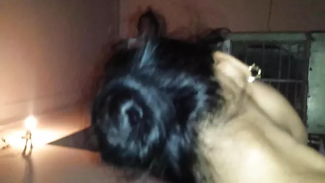 優雅な女の子と大きなお尻女の子のベッド 女の子 無料 h 動画