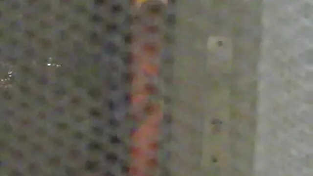 男は猫の流れに彼女を取って、最大限にブロンドを食べる 女の子 の 無料 エロ 動画