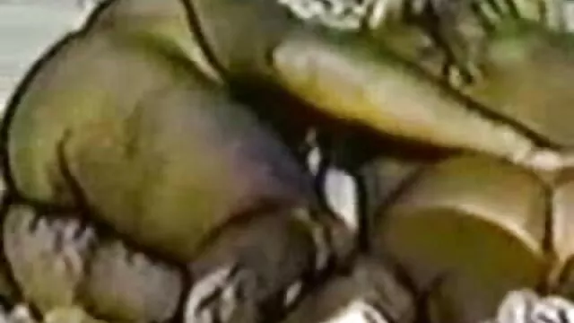 ジーンズの若い女性は車の中で大きなコックを吸う。 女の子 の セックス 動画